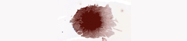 2592cfcb5d9bce6a600565d3f79c9858.gif